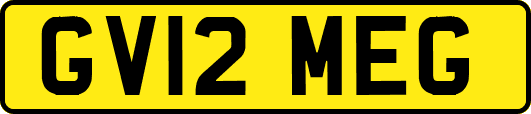 GV12MEG