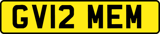 GV12MEM