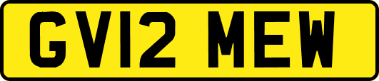 GV12MEW