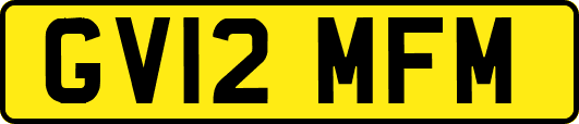 GV12MFM