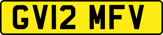 GV12MFV