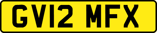GV12MFX