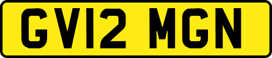 GV12MGN