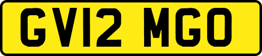 GV12MGO