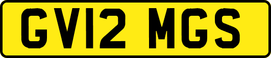 GV12MGS