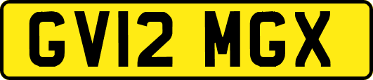 GV12MGX