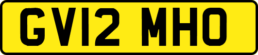 GV12MHO