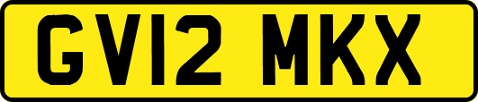 GV12MKX