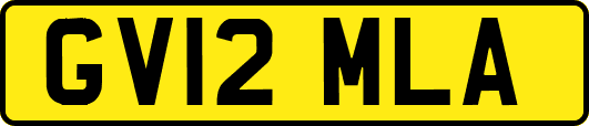 GV12MLA