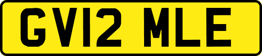 GV12MLE