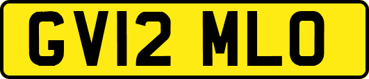 GV12MLO