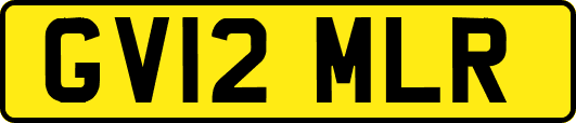 GV12MLR