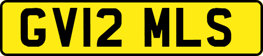 GV12MLS