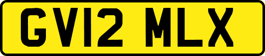 GV12MLX