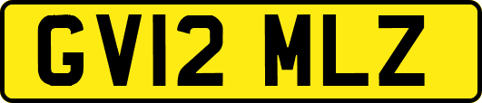 GV12MLZ