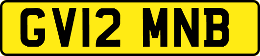 GV12MNB