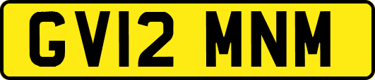 GV12MNM