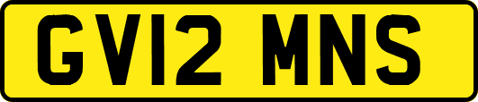 GV12MNS