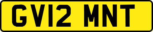 GV12MNT