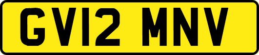 GV12MNV