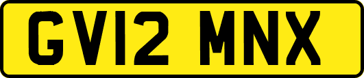 GV12MNX