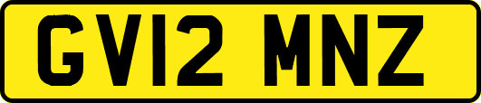 GV12MNZ