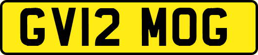 GV12MOG