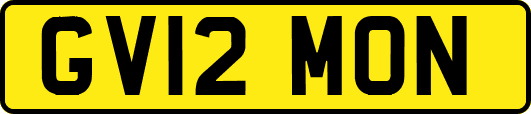GV12MON
