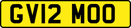 GV12MOO