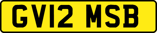 GV12MSB