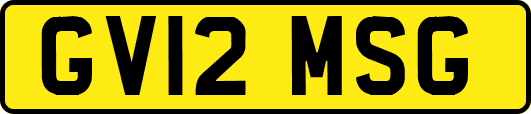 GV12MSG