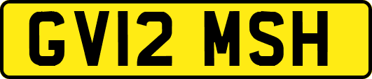 GV12MSH