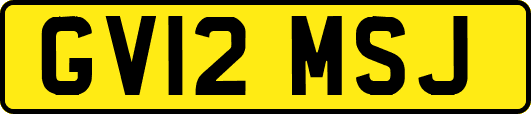 GV12MSJ