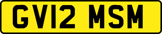 GV12MSM