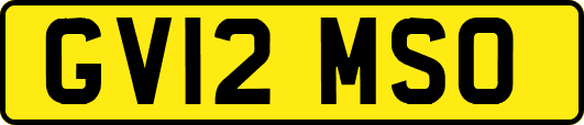 GV12MSO