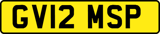 GV12MSP