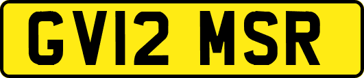 GV12MSR