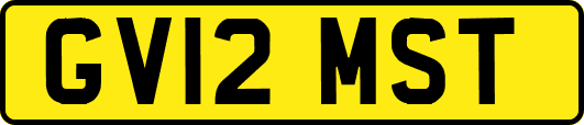 GV12MST
