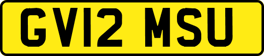 GV12MSU