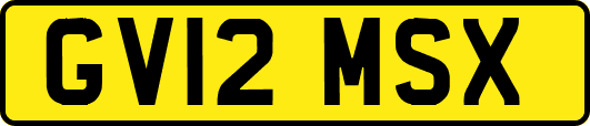 GV12MSX