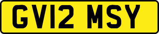 GV12MSY