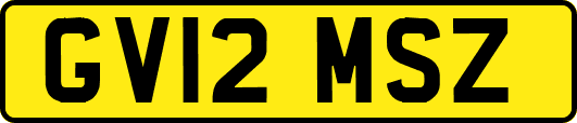 GV12MSZ