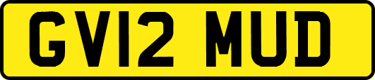 GV12MUD