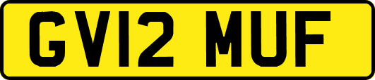 GV12MUF