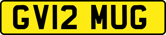 GV12MUG