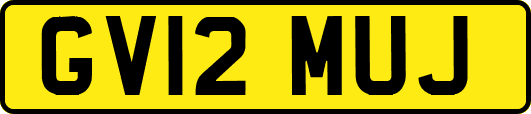 GV12MUJ