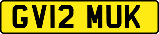 GV12MUK