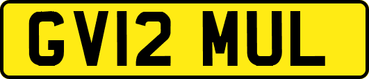GV12MUL