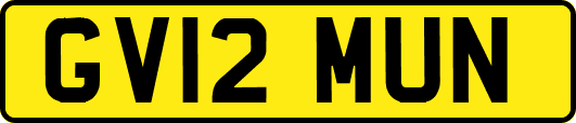 GV12MUN