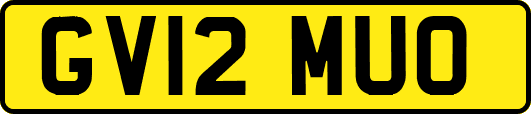 GV12MUO